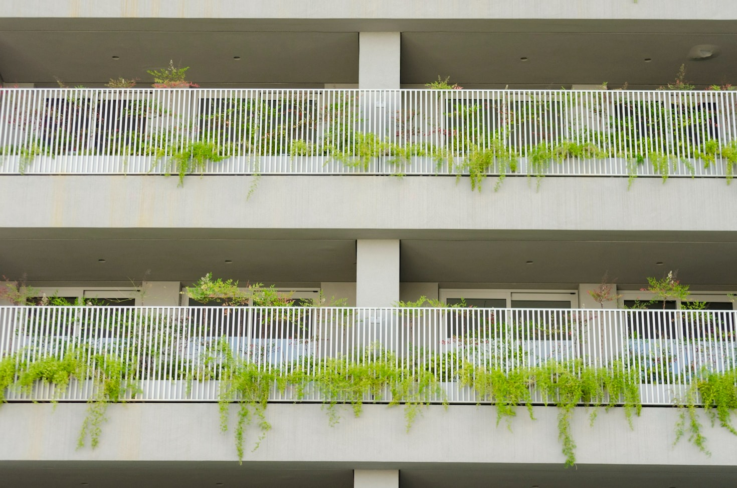 5 Easy Plants for First-Time Balcony Gardeners