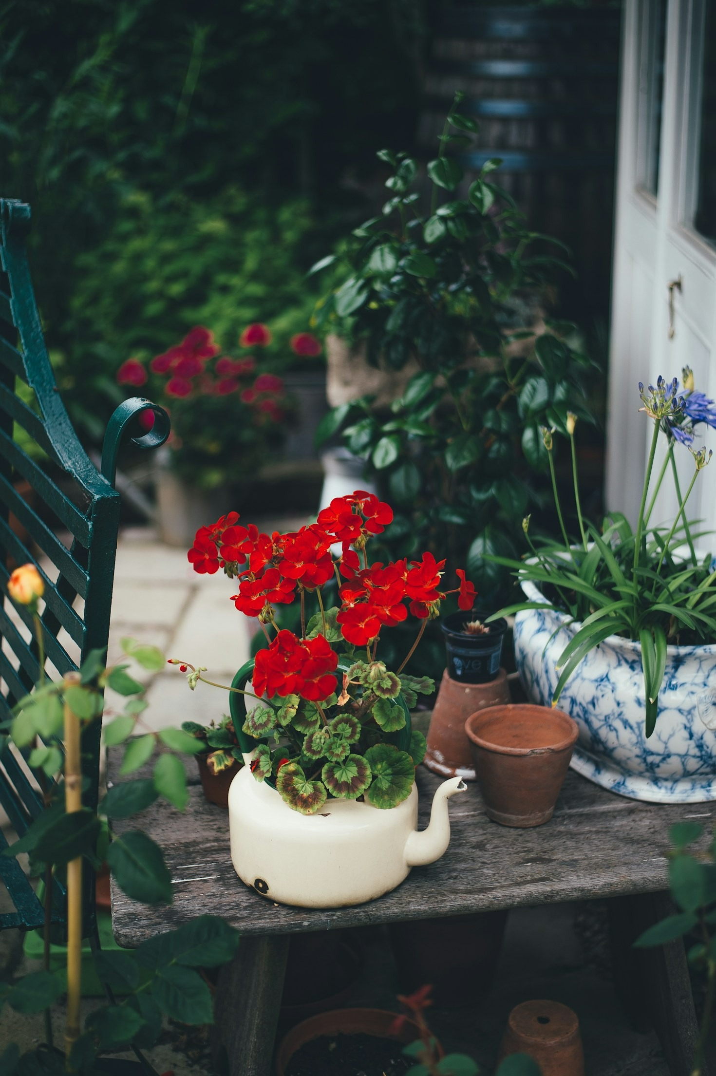Creative Ways to Decorate Small Balconies with Plants