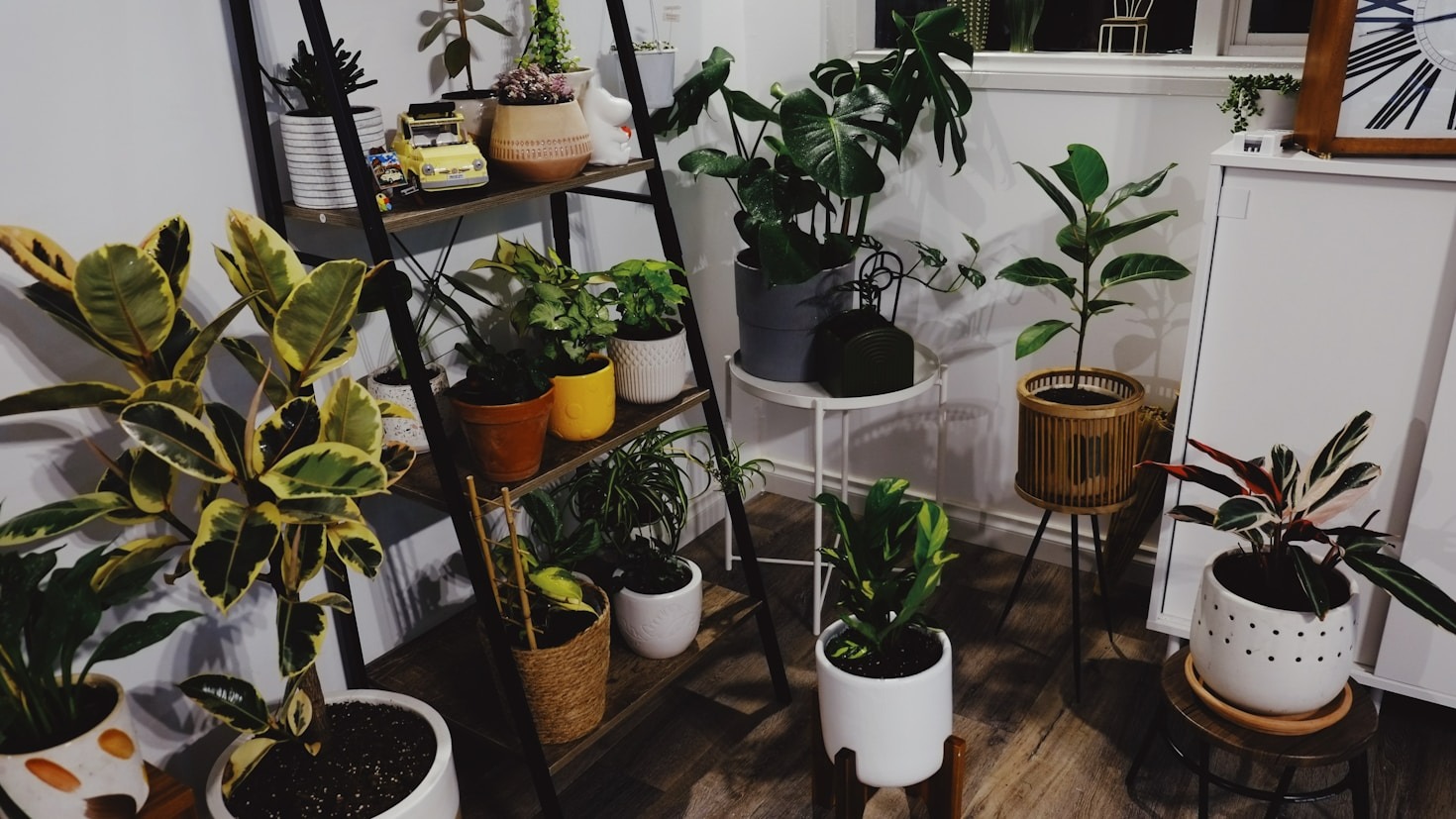 Year-Round Balcony Color: Seasonal Plant Guide