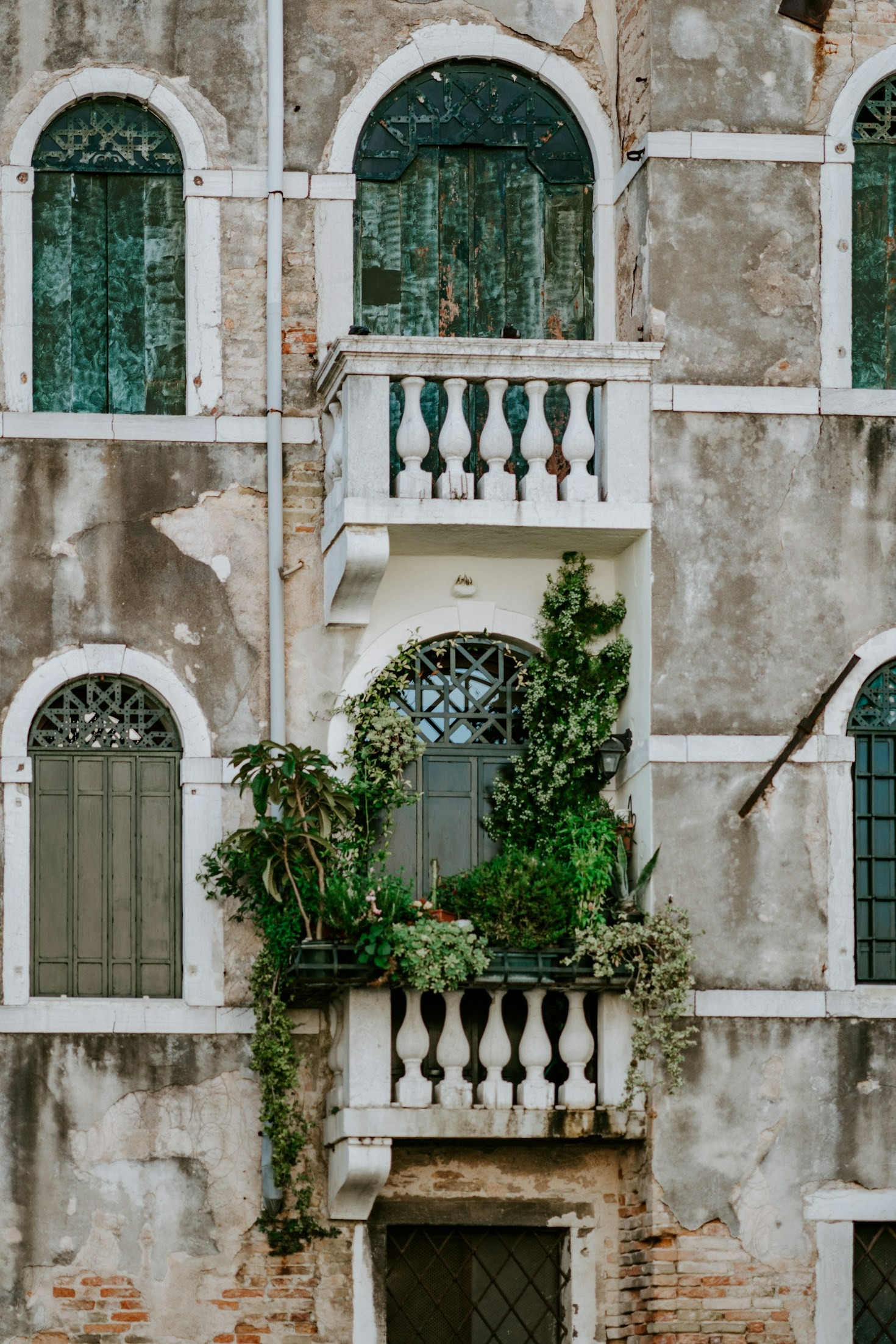 How to Create a Lush Urban Oasis on Your Balcony