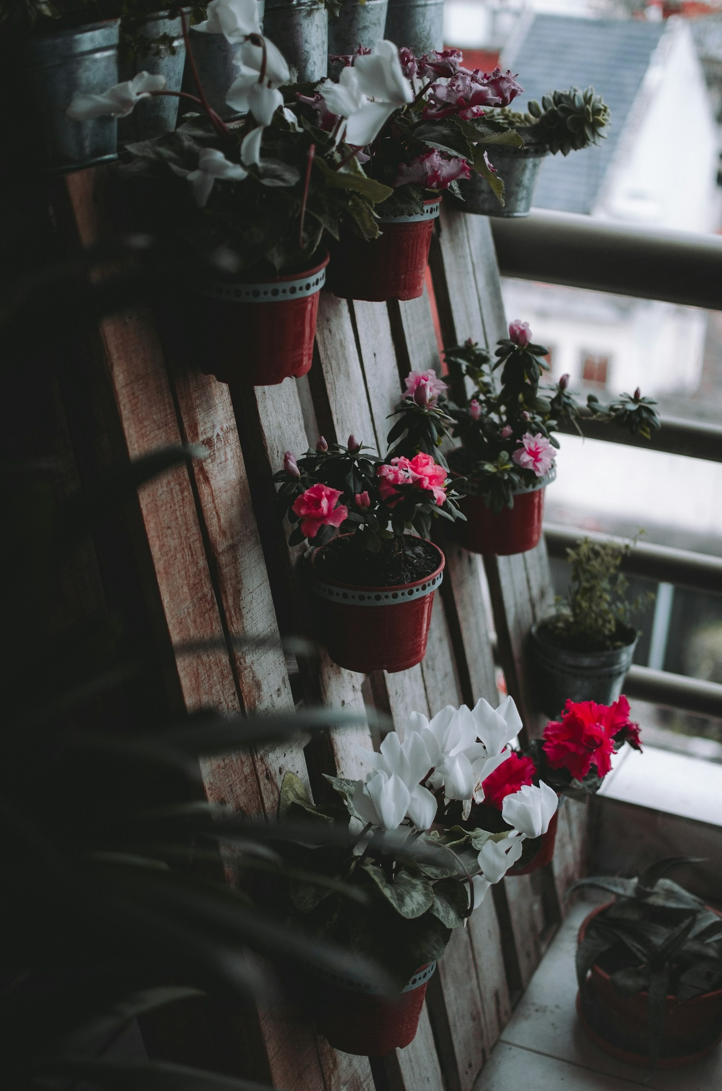 Choosing the Right Plants for Your Space: A Beginner’s Guide