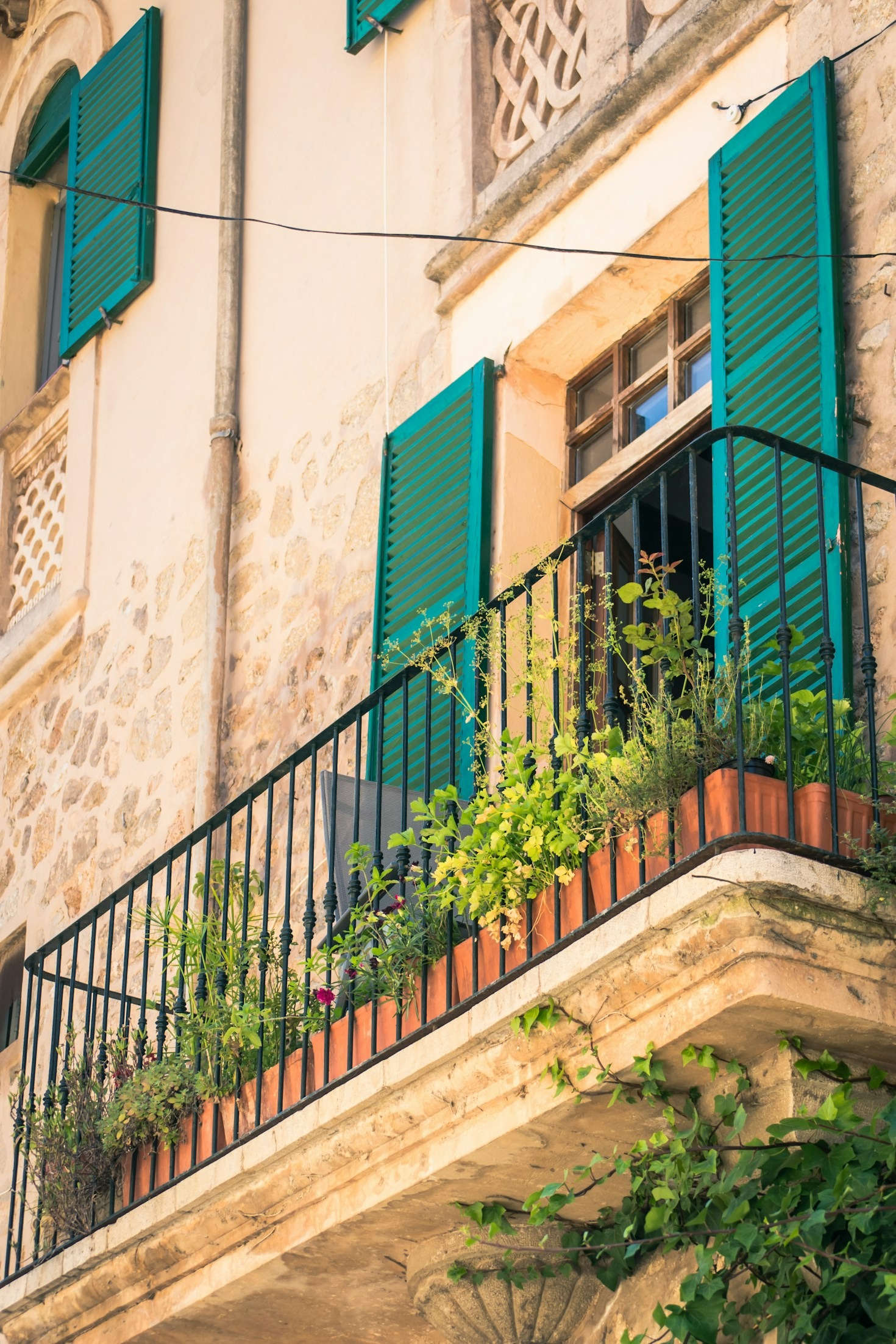Transform Your Terrace: Inspiring Plant Decor Ideas